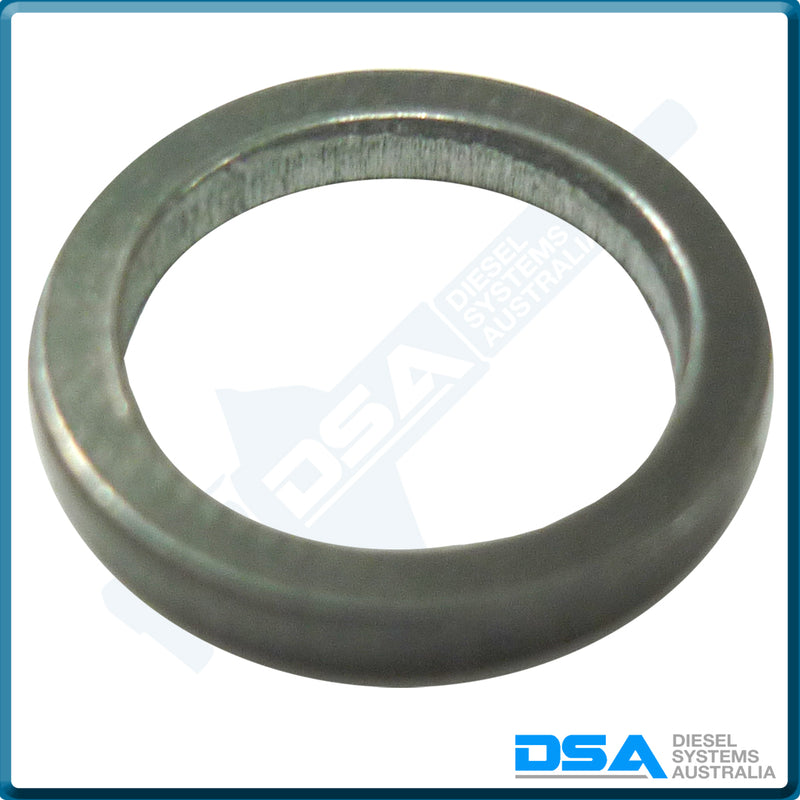 5936-332CNG Aftermarket Delphi Steel Washer (12.8x9.7x2mm) {PKT-10}