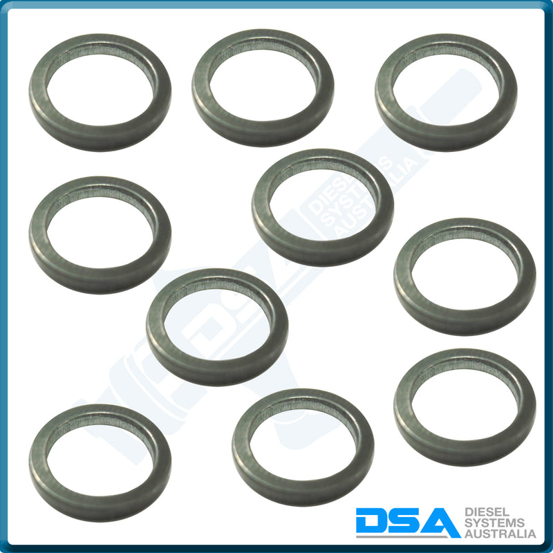 5936-332CNG Aftermarket Delphi Steel Washer (12.8x9.7x2mm) {PKT-10}