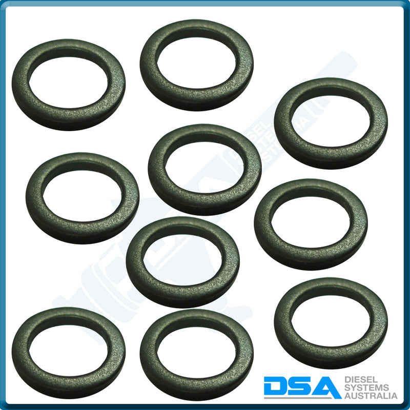 5936-95NG Aftermarket Delphi Steel Washer (13.8x9.7x1.6mm) {PKT-10}