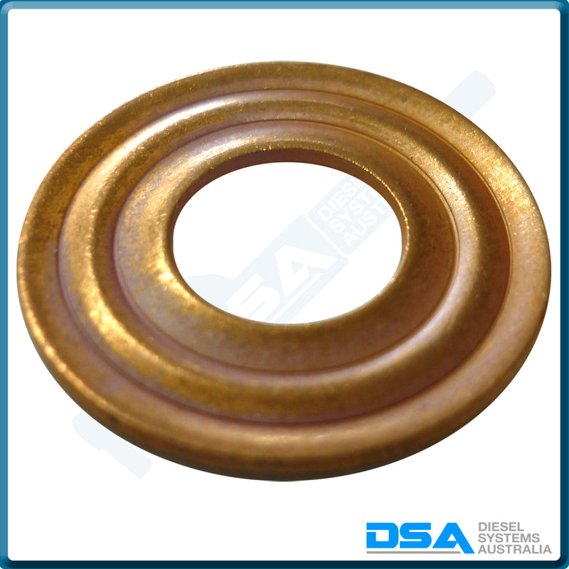 7008-850NG Aftermarket Delphi Copper Washer (22.5x9.4x1.1mm) {PKT-6}