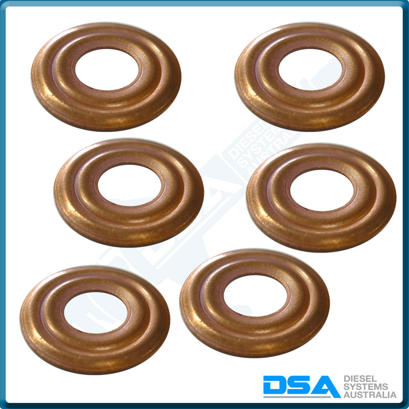 7008-850NG Aftermarket Delphi Copper Washer (22.5x9.4x1.1mm) {PKT-6}