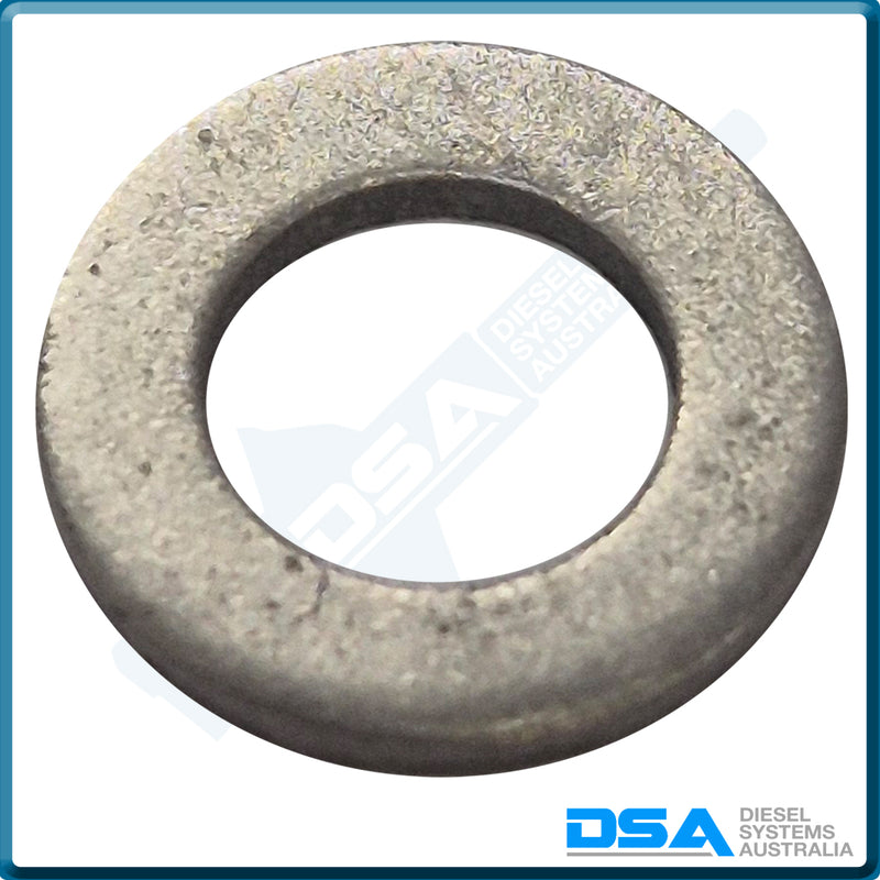 7033-379 Genuine Delphi Washer (9x5x1mm)