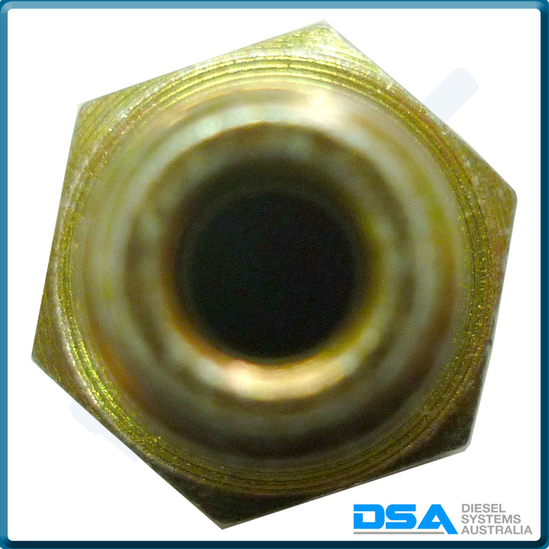 7111-135NG Aftermarket Delphi Banjo Bolt (10x1.5mm)