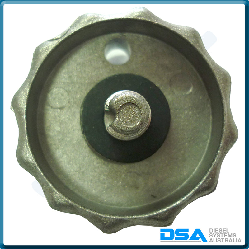 7111-700ANG Aftermarket Delphi Drain Screw