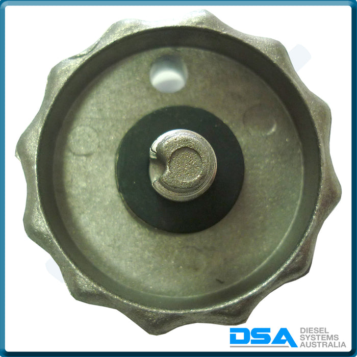 7111-700ANG Aftermarket Delphi Drain Screw