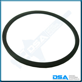 7111-843NG Aftermarket Delphi Standard Filter Head Seal