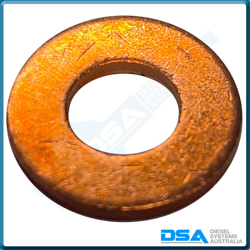 7169-541NG Aftermarket Delphi Shim
