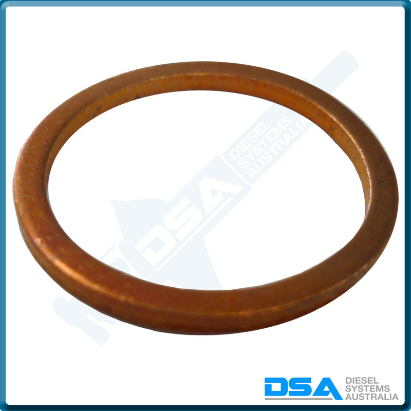 7185-815KNG Aftermarket Delphi Copper Washer (23x19x1.5mm) {PKT-10}