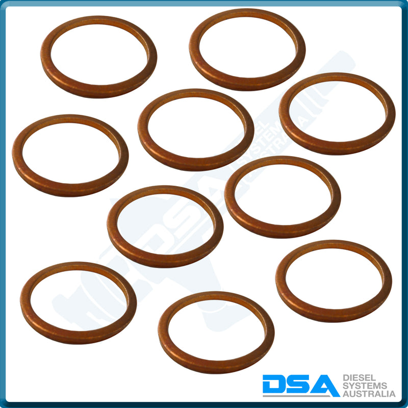 7185-815KNG Aftermarket Delphi Copper Washer (23x19x1.5mm) {PKT-10}