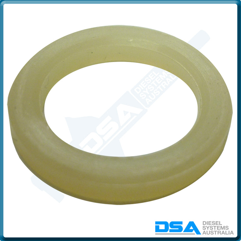 82009NG Aftermarket Delphi Nylon Washer (16x12x2mm) {PKT-10}