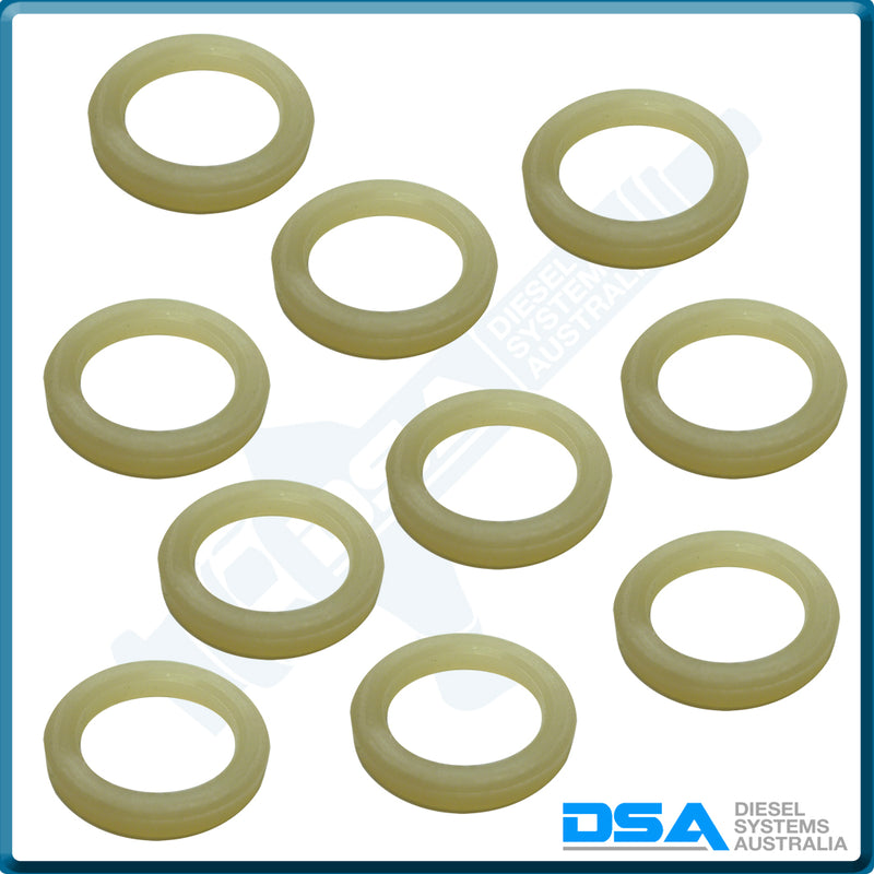 82009NG Aftermarket Delphi Nylon Washer (16x12x2mm) {PKT-10}
