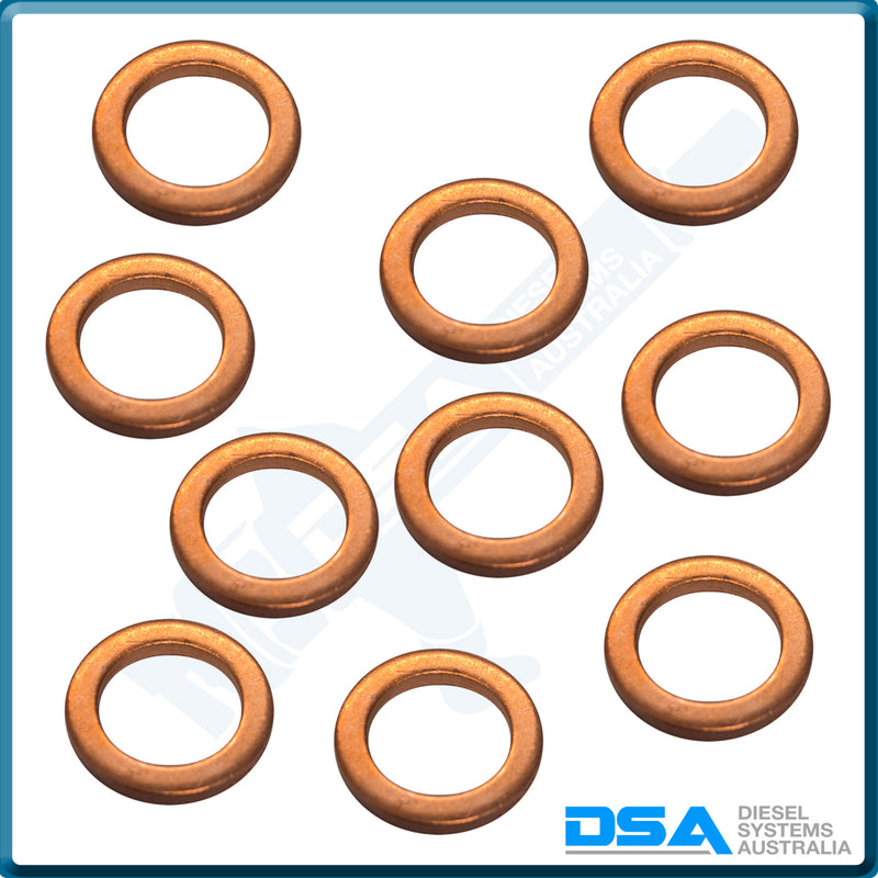 9007-392ANG Aftermarket Delphi Copper Washer (18x12x2mm) {PKT-10}