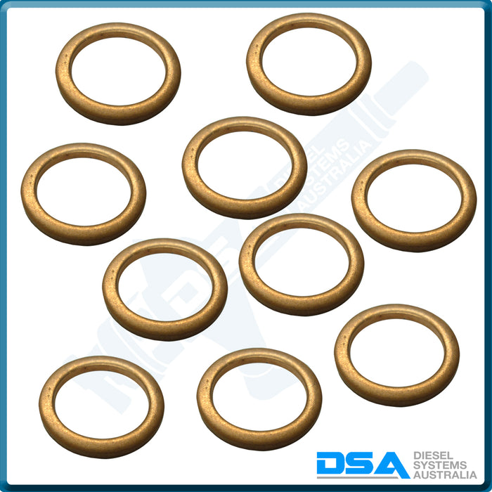 2 430 105 010NG Aftermarket Bosch Copper Washer (20.5x15.5x2mm) {PKT-10}