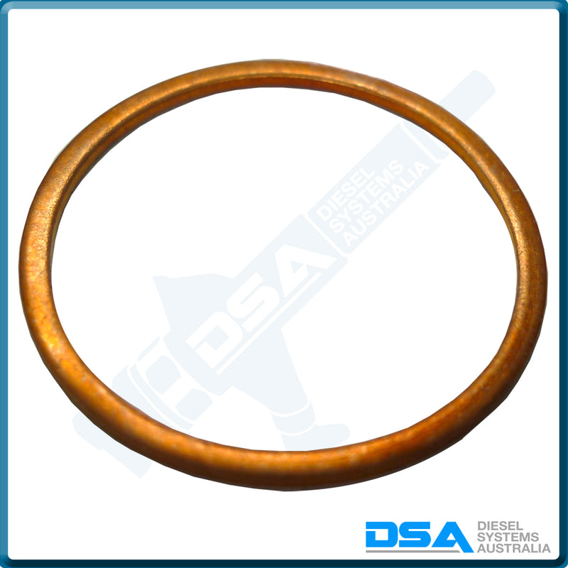 GA781079NG Aftermarket Ambac Copper Cap Nut Washer (23x20x1mm) {PKT-10}
