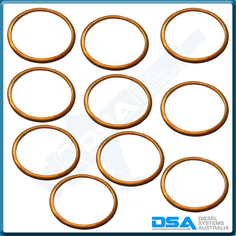 GA781079NG Aftermarket Ambac Copper Cap Nut Washer (23x20x1mm) {PKT-10}