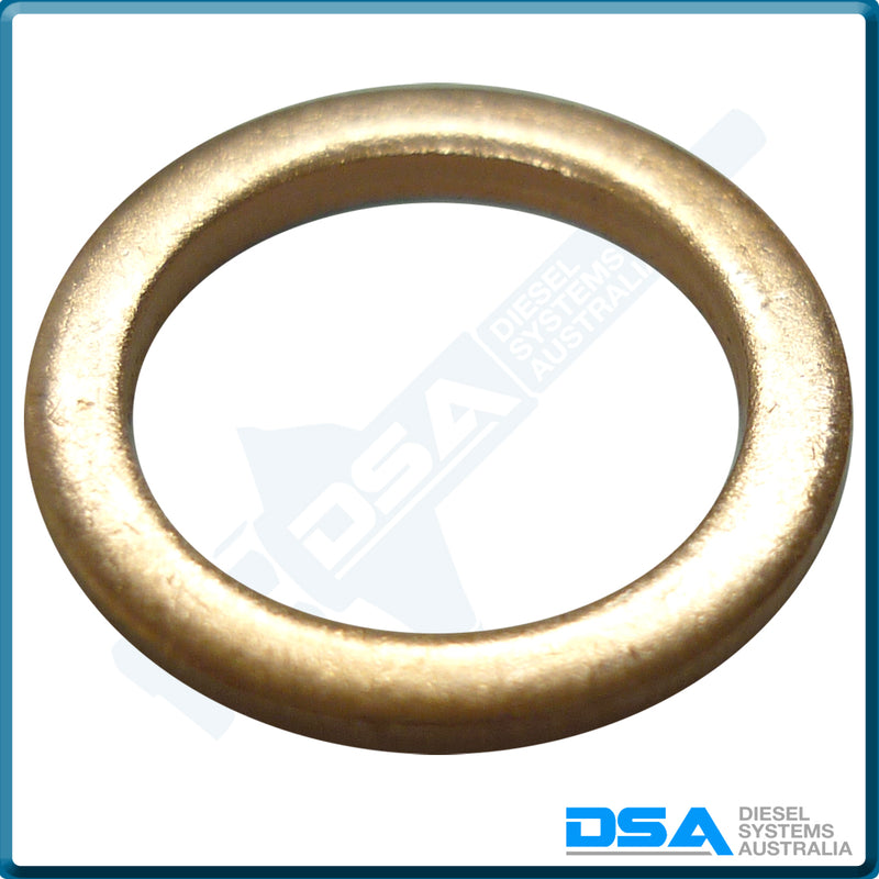 NW5-22W4NG Aftermarket Delphi Copper Washer (14x10x1.5mm) {PKT-10}