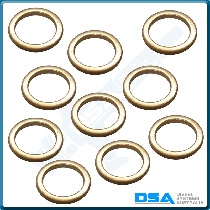 NW5-22W4NG Aftermarket Delphi Copper Washer (14x10x1.5mm) {PKT-10}