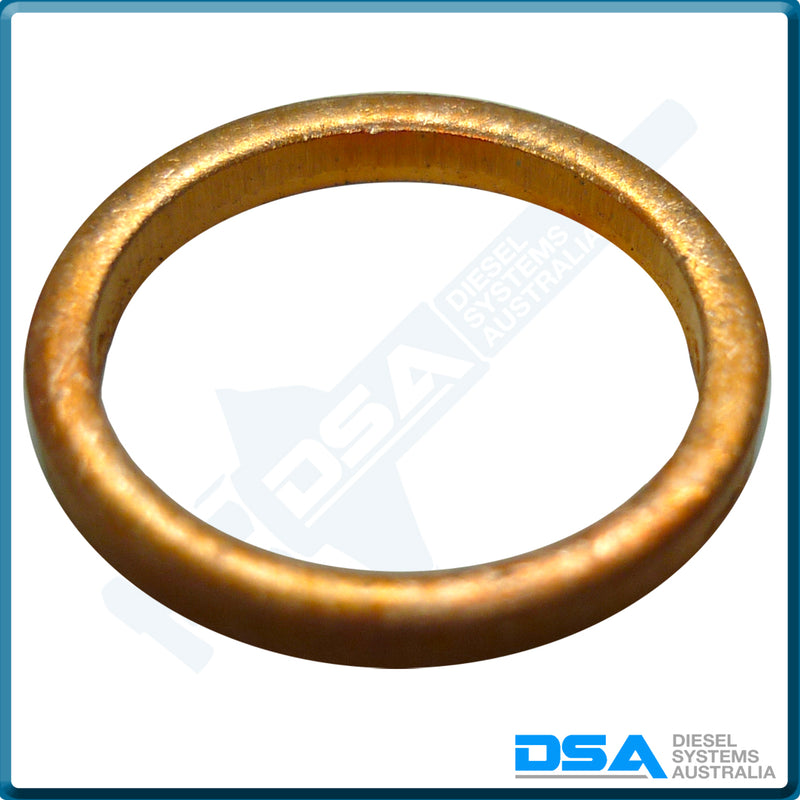 NW5-34W4NG Aftermarket Delphi Copper Washer (16x12.8x2mm) {PKT-10}