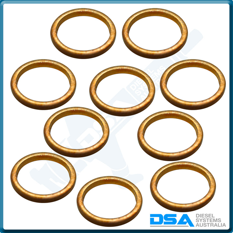 NW5-34W4NG Aftermarket Delphi Copper Washer (16x12.8x2mm) {PKT-10}
