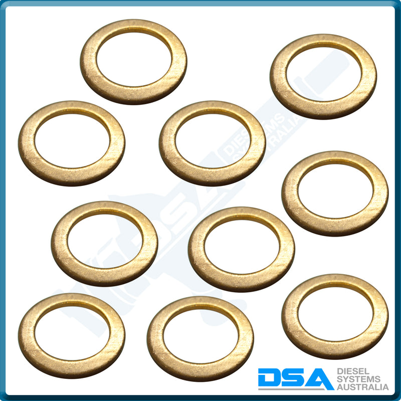 NW5-43W4NG Aftermarket Delphi Copper Washer (21x14.5x1.5mm) {PKT-10}