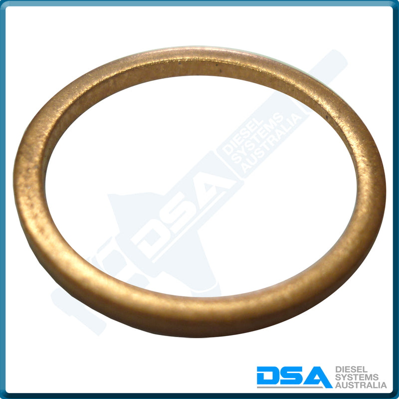 NW5-49W4NG Aftermarket Delphi Copper Washer (21.4x18x1.5mm) {PKT-10}