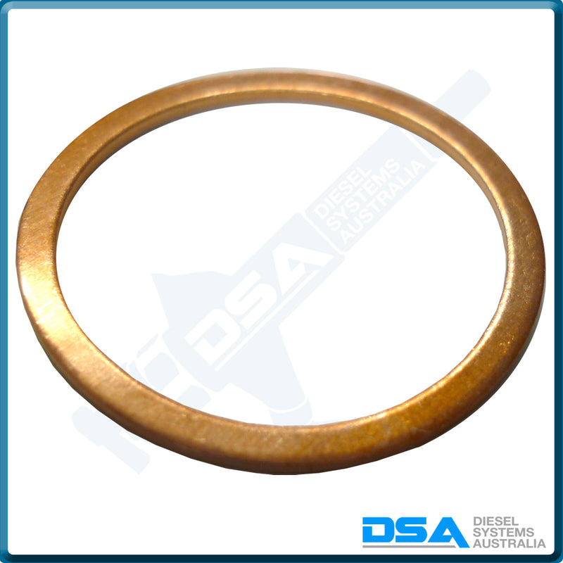 NW5-59NG Aftermarket Delphi Copper Cap Nut Washer (25x21x0.9mm) {PKT-10}