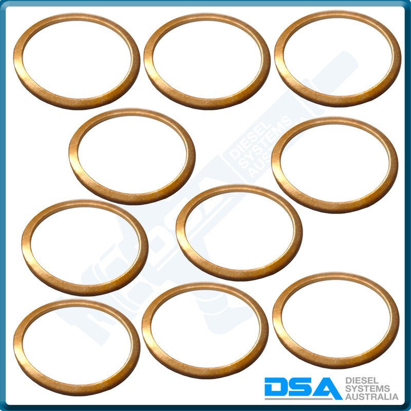 NW5-59NG Aftermarket Delphi Copper Cap Nut Washer (25x21x0.9mm) {PKT-10}