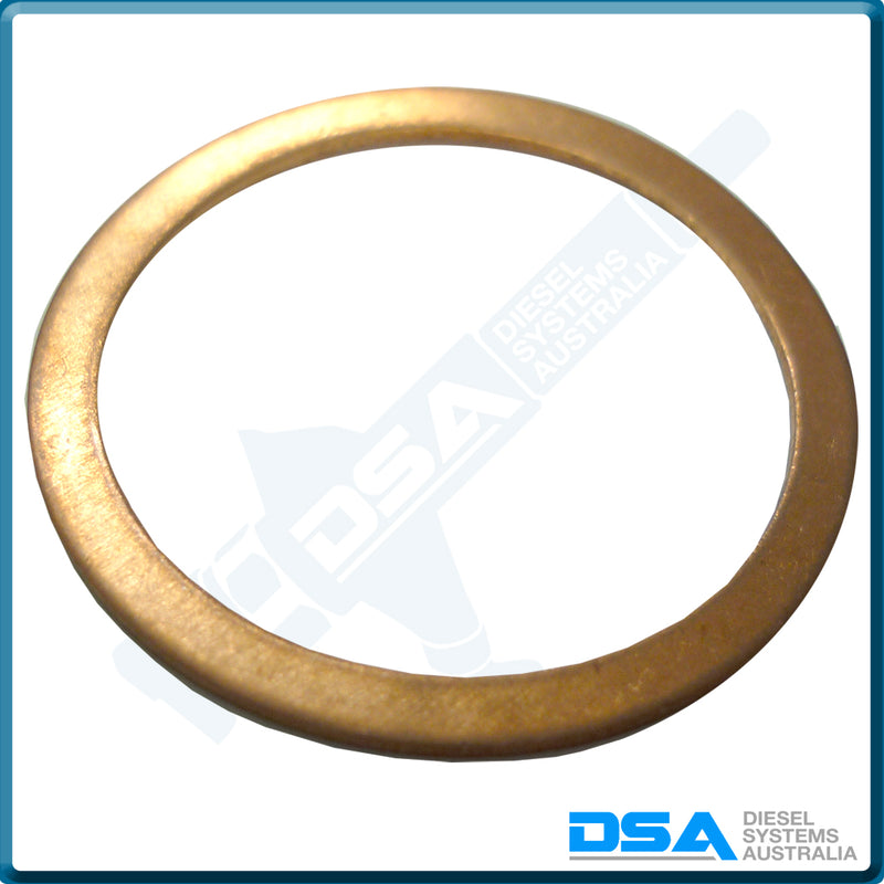 NW5-60NG Aftermarket Delphi Copper Cap Nut Washer (27x22x1mm) {PKT-10}