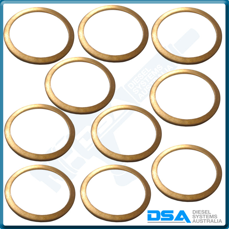 NW5-60NG Aftermarket Delphi Copper Cap Nut Washer (27x22x1mm) {PKT-10}
