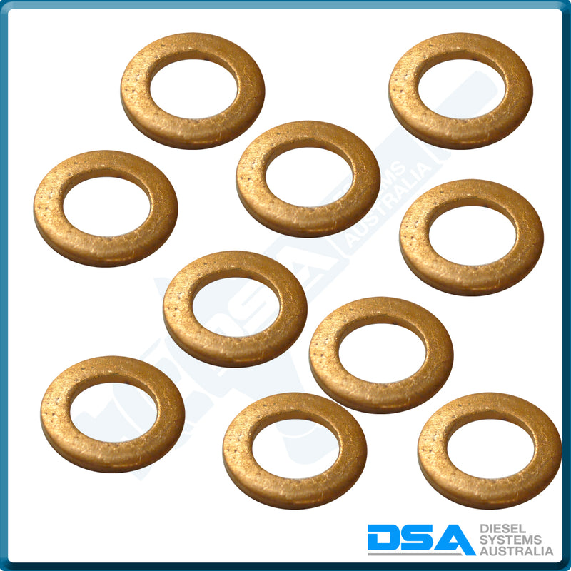 NW5-9W4NG Aftermarket Delphi Copper Washer (8.5x5x1mm) {PKT-10}
