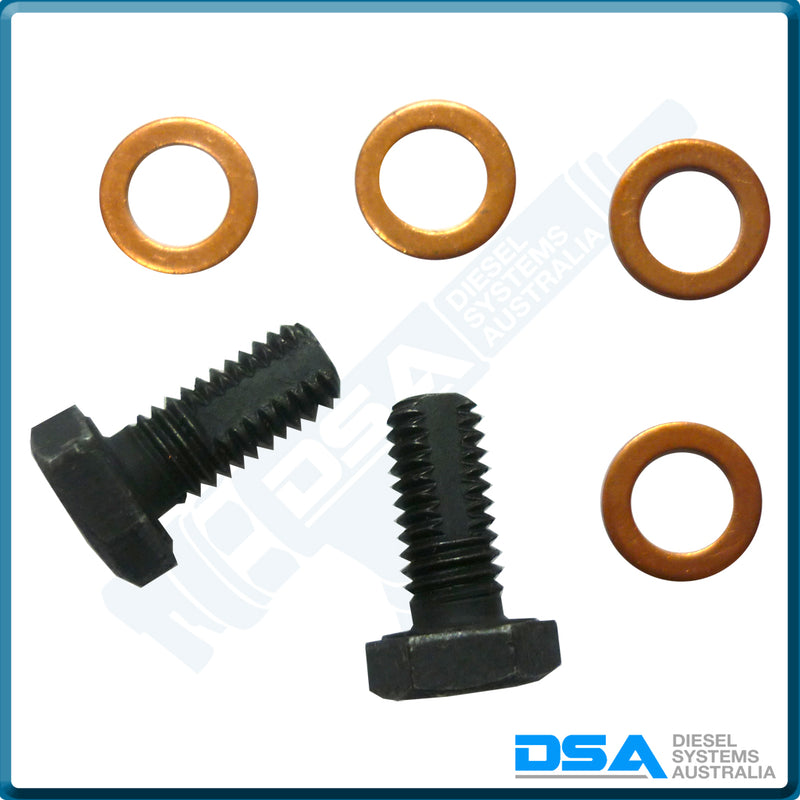 PI-7721 KIT Banjo Bolt (6x1mm-Screw) & Washer Kit