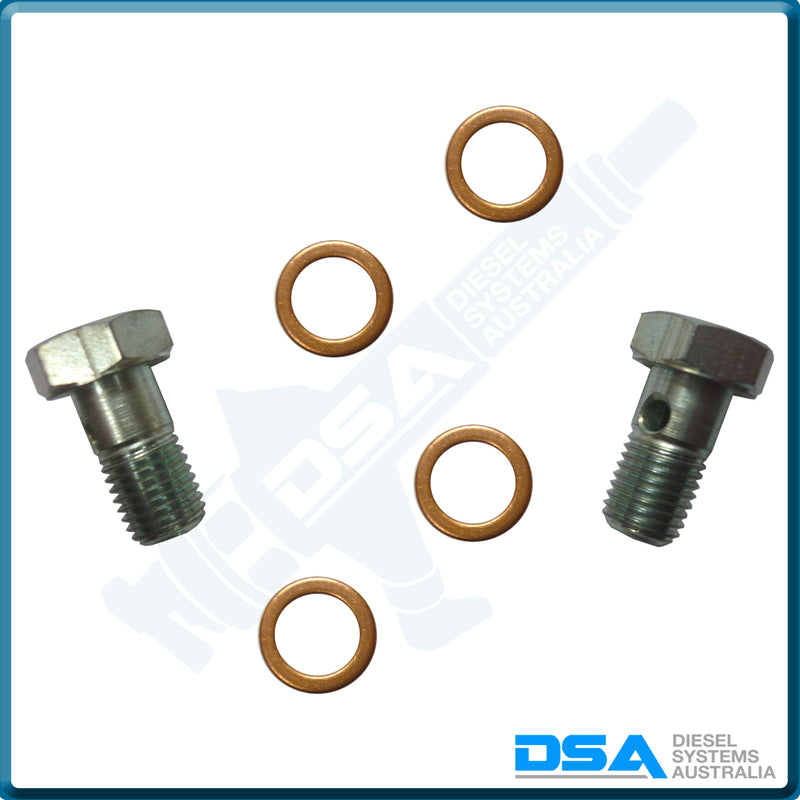 PI-7729 KIT Banjo Bolt (8x1mm) & Washer Kit