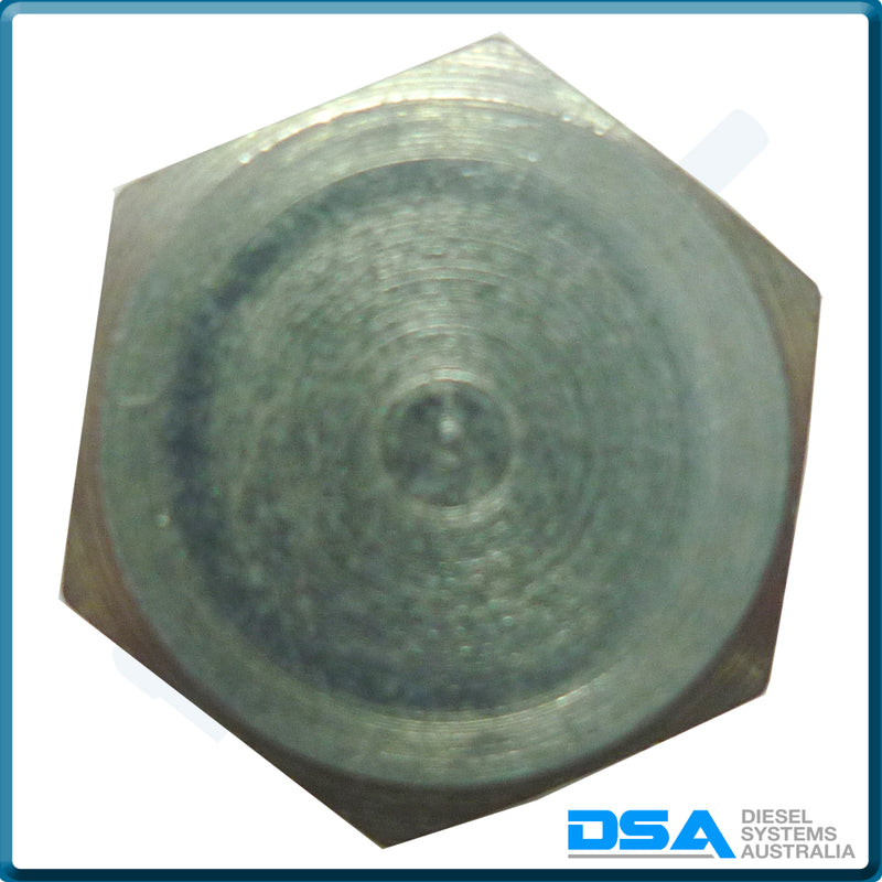 PI-7729 Banjo Bolt (8x1mm)