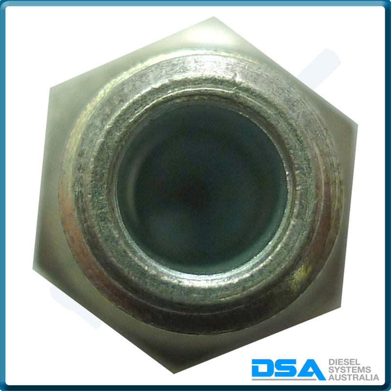 PI-8493-1 Banjo Bolt (10x1.5mm)