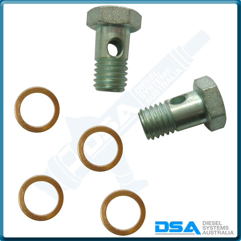 PI-8493-1 KIT Banjo Bolt (10x1.5mm) & Washer Kit
