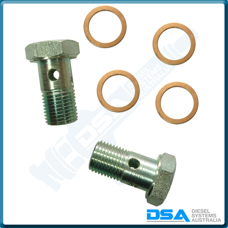 PI-8493 KIT Banjo Bolt (10x1mm) & Washer Kit