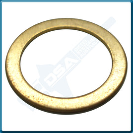 11-121NG Aftermarket Delphi Copper Washer (13x10x0.5mm) {PKT-10}