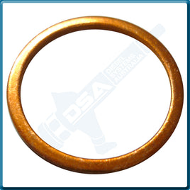 52265 Aftermarket Copper Washer (24x20x1.5mm) {PKT-10}