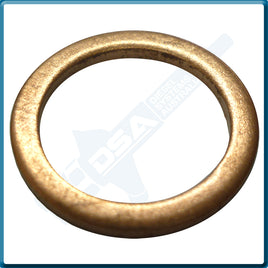 5339-874NG Aftermarket Delphi Copper Washer (17x13x1.5mm) {PKT-10}