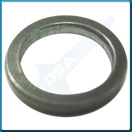 5936-332CNG Aftermarket Delphi Steel Washer (12.8x9.7x2mm) {PKT-10}