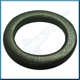 5936-95NG Aftermarket Delphi Steel Washer (13.8x9.7x1.6mm) {PKT-10}