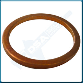 7185-815KNG Aftermarket Delphi Copper Washer (23x19x1.5mm) {PKT-10}