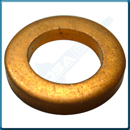 9103-287NG Aftermarket Delphi Copper Washer (18x11x2.5mm) {PKT-10}
