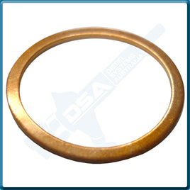 NW5-59NG Aftermarket Delphi Copper Cap Nut Washer (25x21x0.9mm) {PKT-10}