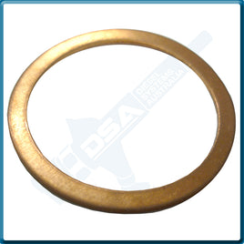 NW5-60NG Aftermarket Delphi Copper Cap Nut Washer (27x22x1mm) {PKT-10}